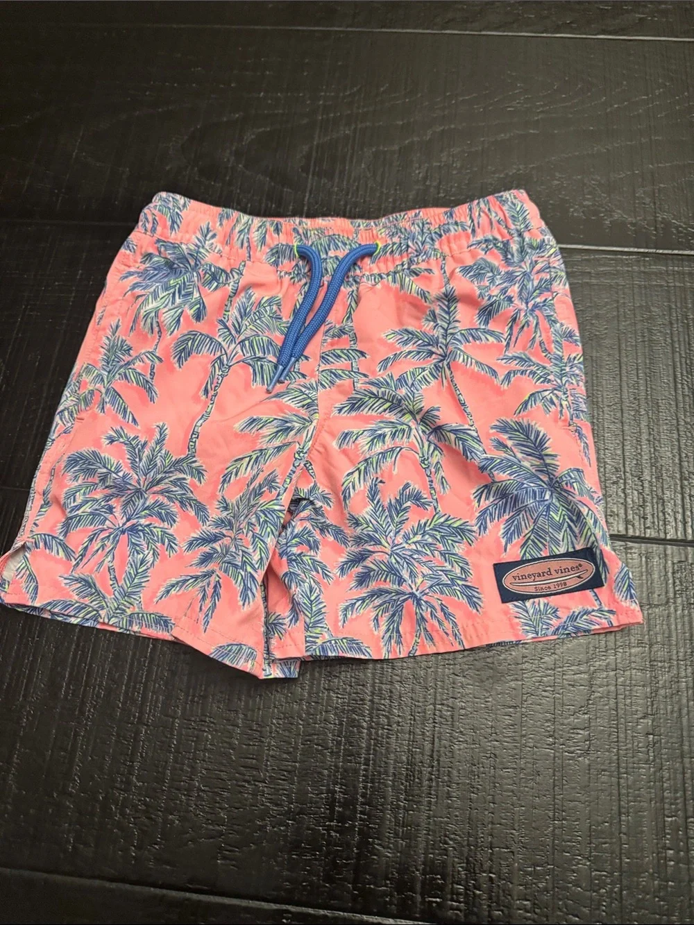 Vineyard Vines Coral and Blue Palm-Print Men’s Shorts